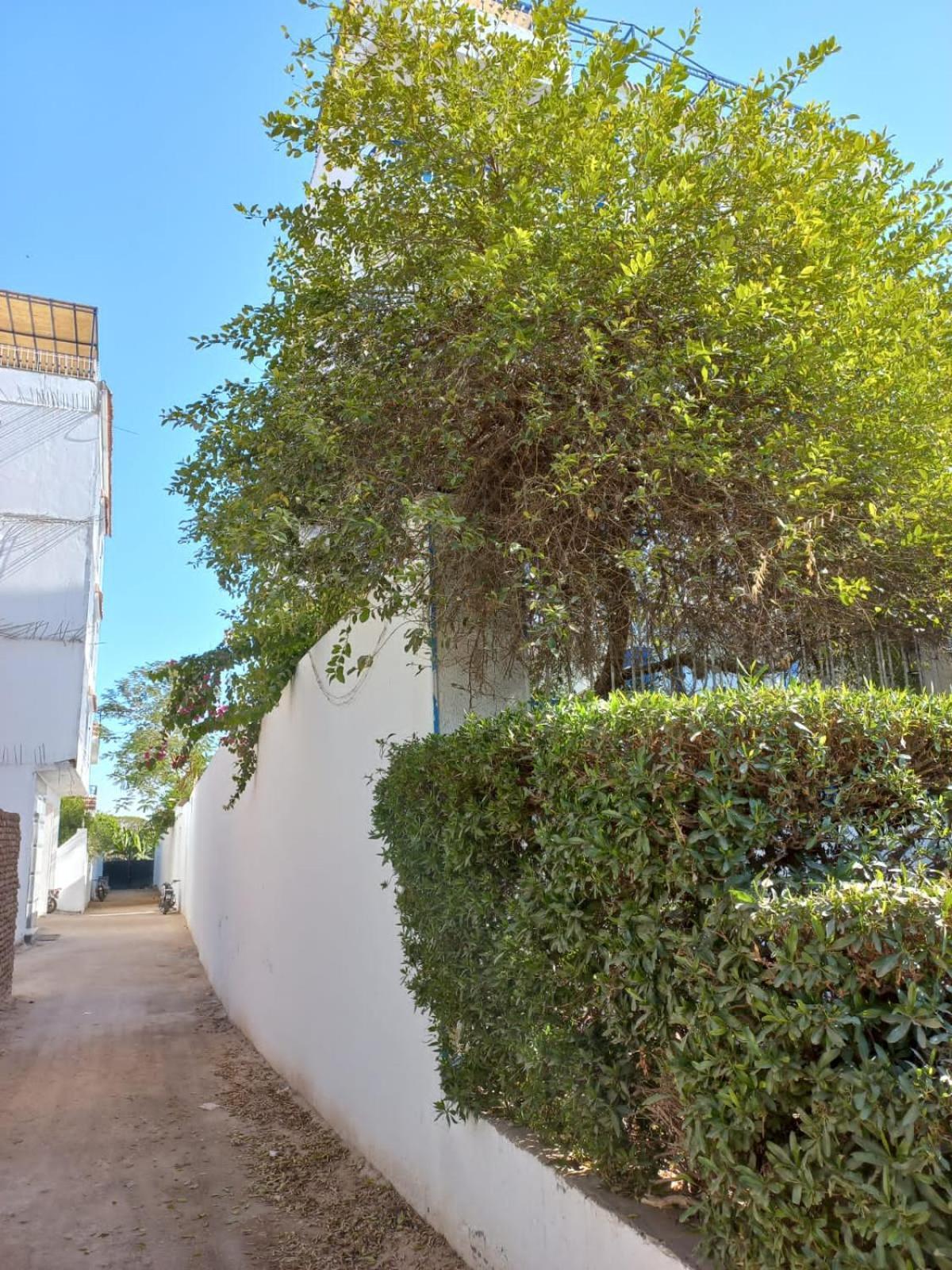 Villa Kaslan Apartments Luksor Zewnętrze zdjęcie